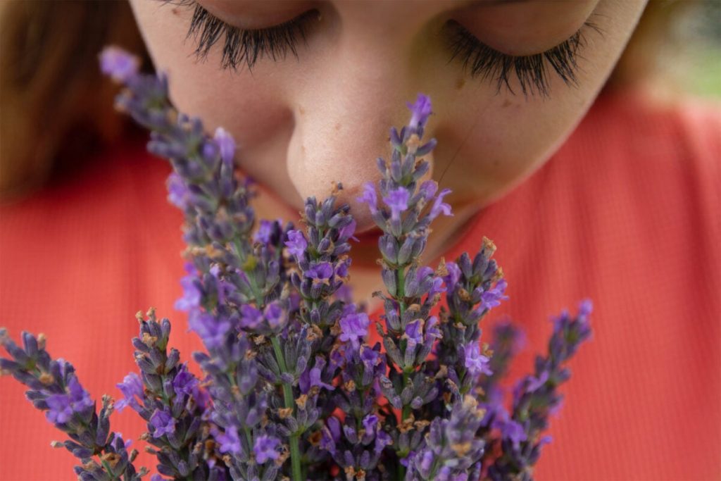 How to understand COVID-19-related loss of smell